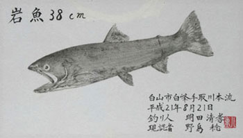岩魚魚拓