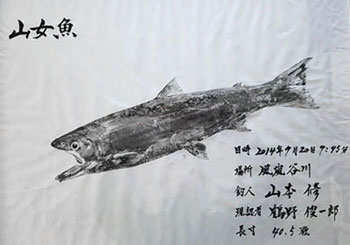 岩魚魚拓