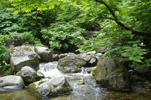 清流