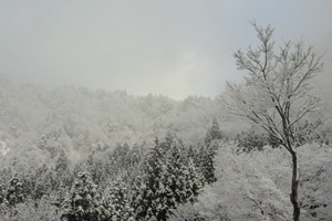 雪