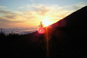 山