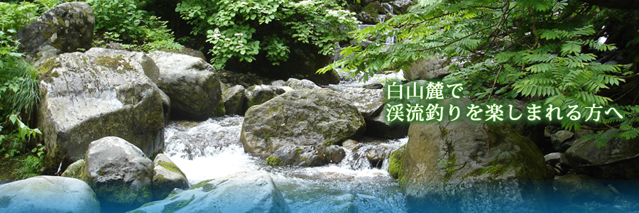 白山麓で渓流釣りを楽しまれる方へ