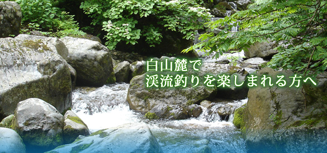 白山麓で渓流釣りを楽しまれる方へ