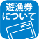 遊漁券について