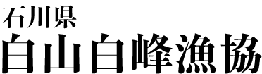 石川県白山白峰漁業協同組合