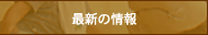 ŐV̏