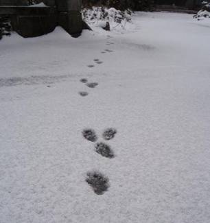 Ձussƒ񂾂̂vi2012.1.25.j